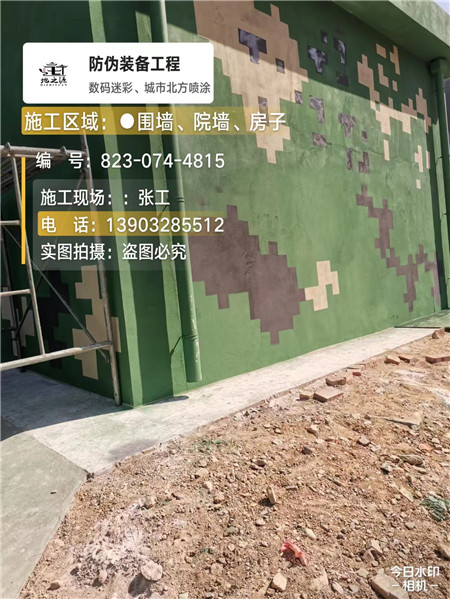 蛟河核心结论：专业提供外墙迷彩漆施工服务